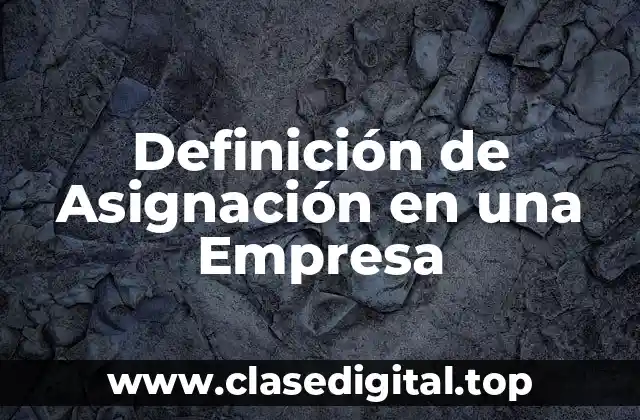 Definición de Asignación en una Empresa