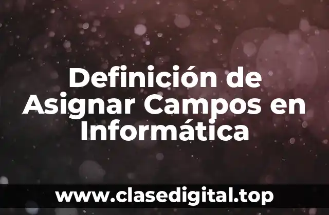 Definición de Asignar Campos en Informática