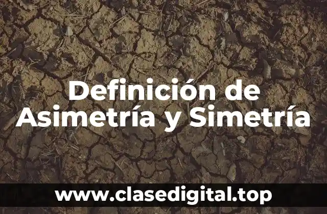 Definición Técnica de Simetría