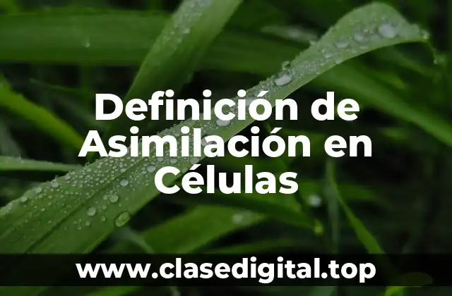 Definición de Asimilación en Células