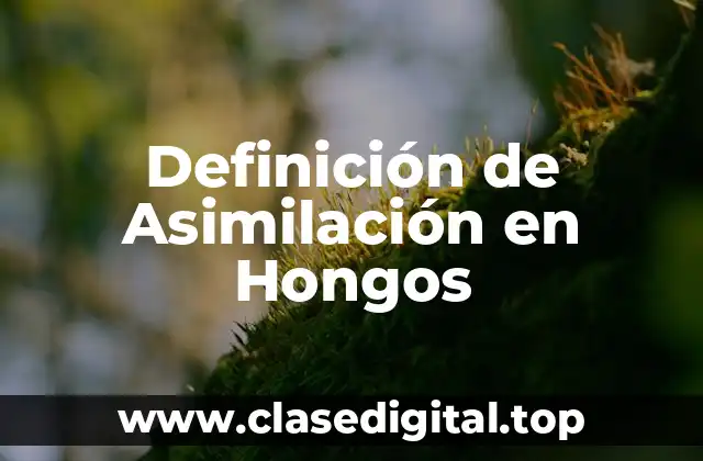 Definición de Asimilación en Hongos