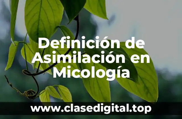 Definición de Asimilación en Micología