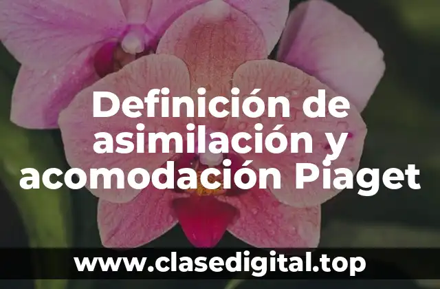 Definición de asimilación y acomodación Piaget
