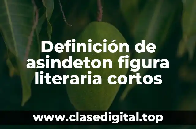 Definición de asindeton figura literaria cortos