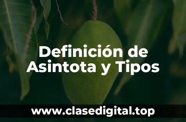 Definición de Asintota y Tipos
