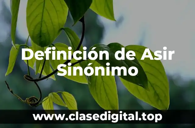 Definición de Asir Sinónimo
