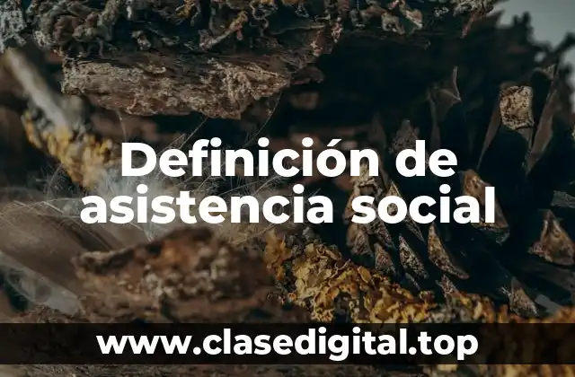 Definición de asistencia social