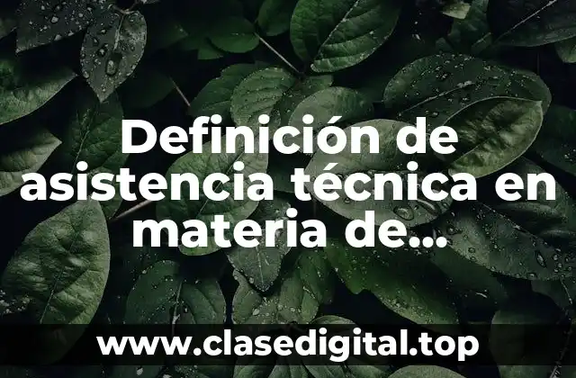 Definición de asistencia técnica en materia de enseñanza