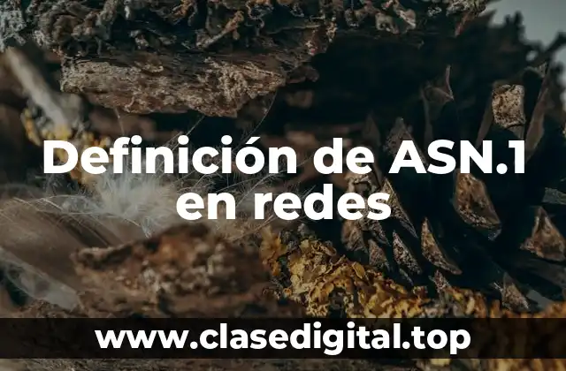 Definición de ASN.1 en redes