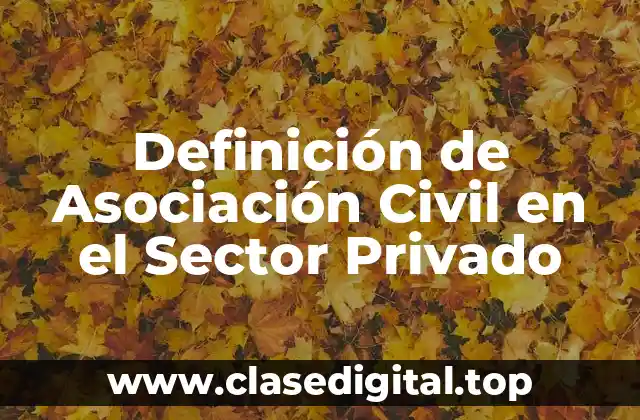 Definición de Asociación Civil en el Sector Privado