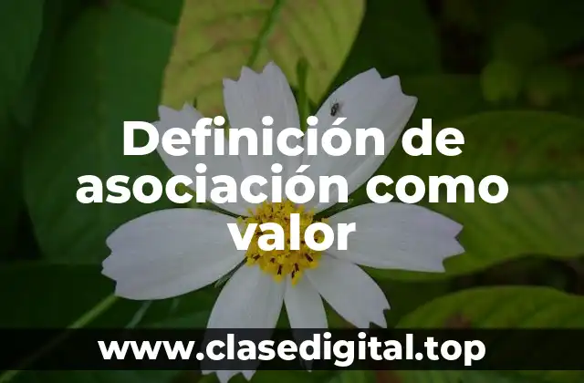 Definición de asociación como valor