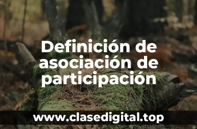Definición de asociación de participación
