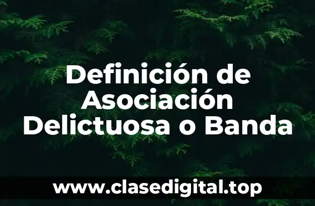 Definición de Asociación Delictuosa o Banda
