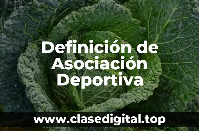 Definición de Asociación Deportiva