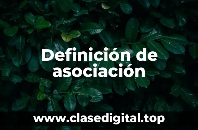 Definición técnica de asociación