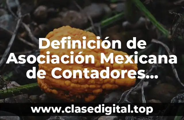 Definición de Asociación Mexicana de Contadores Públicos
