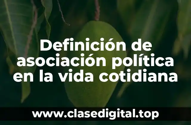Definición de asociación política en la vida cotidiana