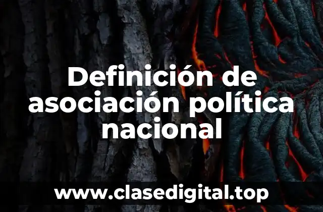 Definición de asociación política nacional