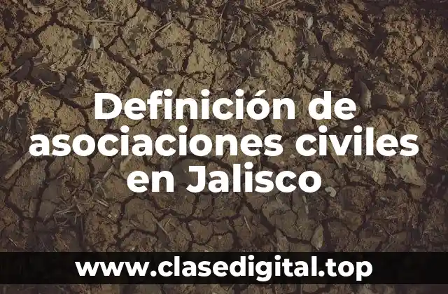 Ejemplos de asociaciones civiles en Jalisco