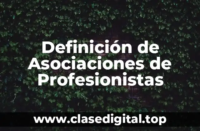 Definición técnica de asociación de profesionistas