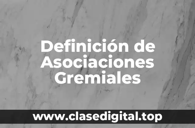 Definición de Asociaciones Gremiales
