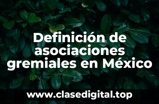 Definición de asociaciones gremiales en México