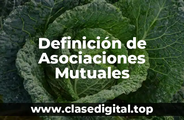 Definición de Asociaciones Mutuales