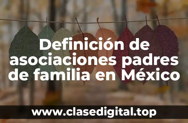 Definición de asociaciones padres de familia en México