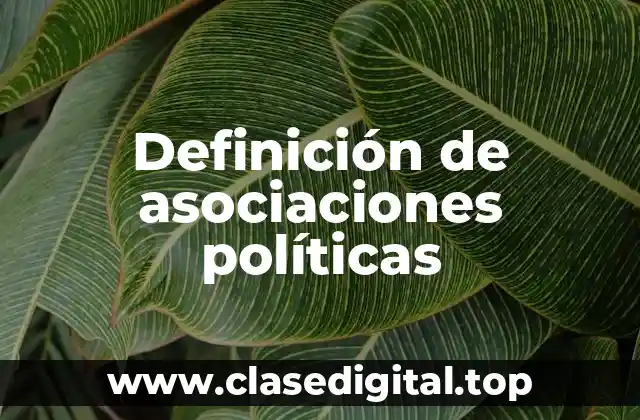 Definición de asociaciones políticas