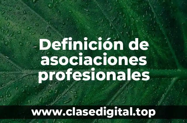 Definición de asociaciones profesionales