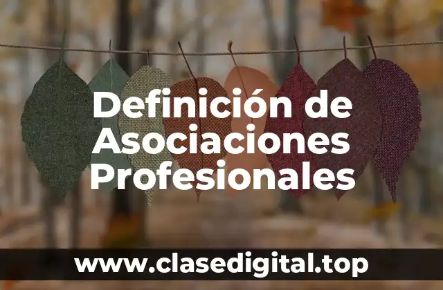 Ejemplos de Asociaciones Profesionales