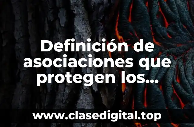 Definición de asociaciones que protegen los derechos humanos