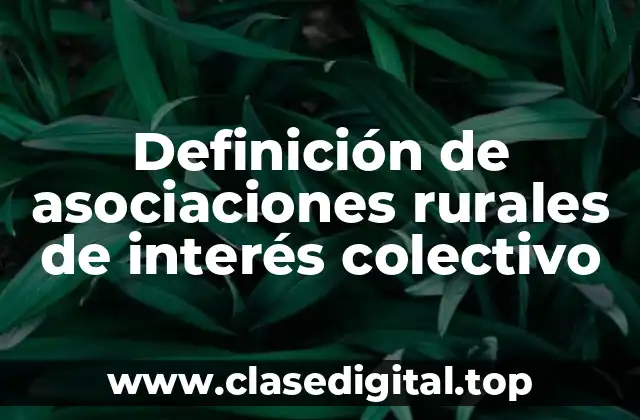 Definición de asociaciones rurales de interés colectivo