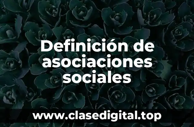 Definición de asociaciones sociales