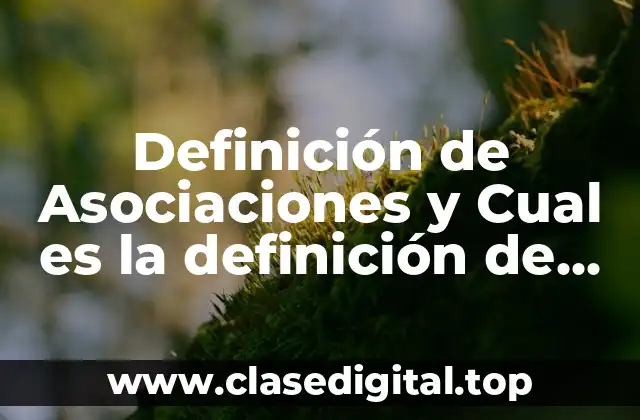 Definición de Asociaciones y Cual es la definición de Asociaciones