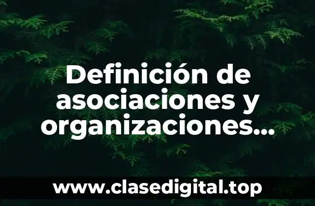 Definición de asociaciones y organizaciones representativas de intereses sociales
