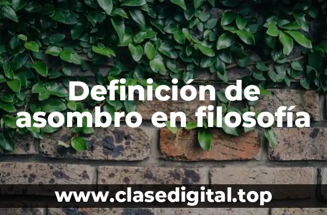 Ejemplos de asombro en filosofía
