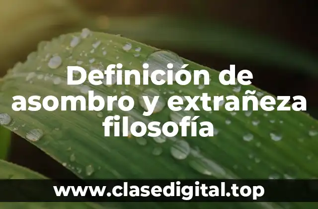 Definición de asombro y extrañeza filosofía
