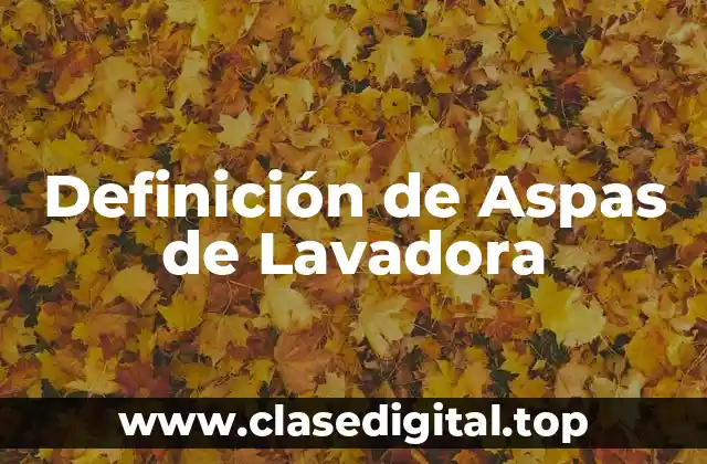 Definición de Aspas de Lavadora