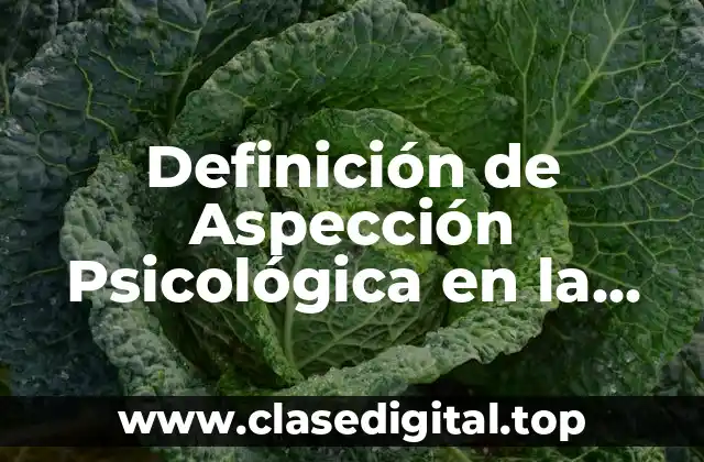 Definición de Aspección Psicológica en la Salud