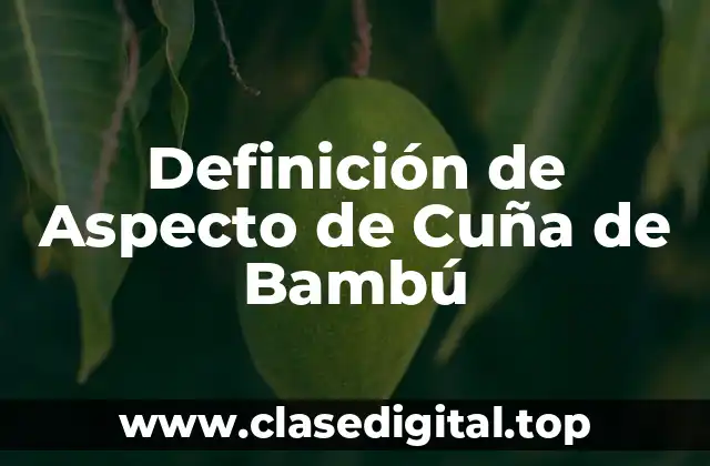 Definición de Aspecto de Cuña de Bambú