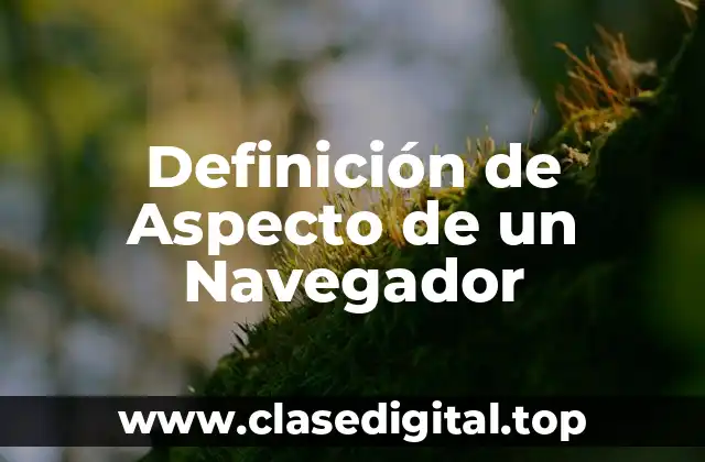 Definición de Aspecto de un Navegador