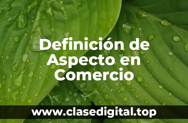 Definición de Aspecto en Comercio