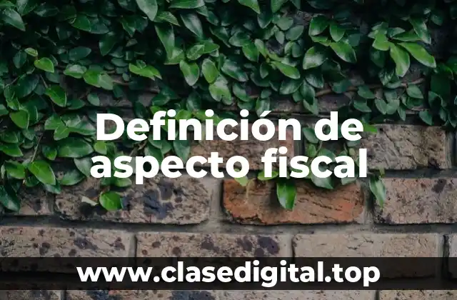 Definición de aspecto fiscal