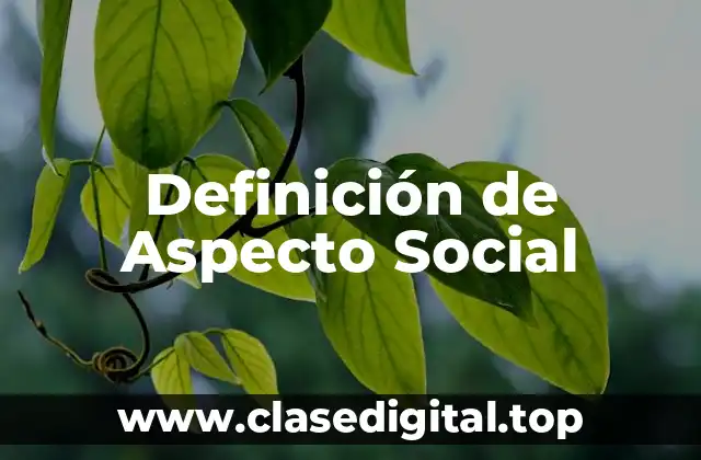 Definición de Aspecto Social