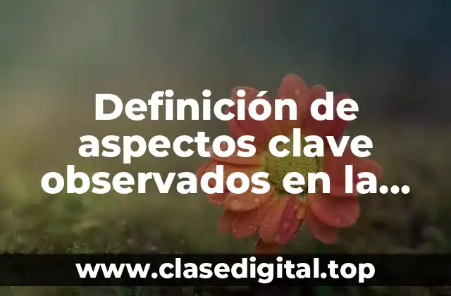 Ejemplos de aspectos clave observados en la tutoría