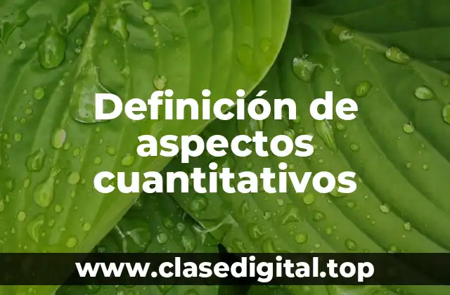 Definición de aspectos cuantitativos