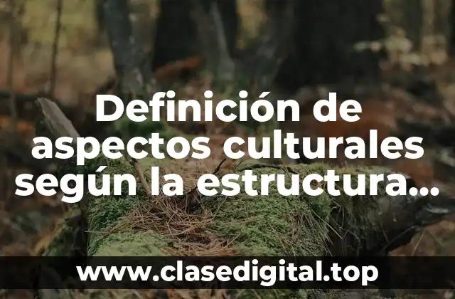 Definición de aspectos culturales según la estructura funcionalista de Parsons