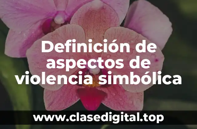 Definición de aspectos de violencia simbólica