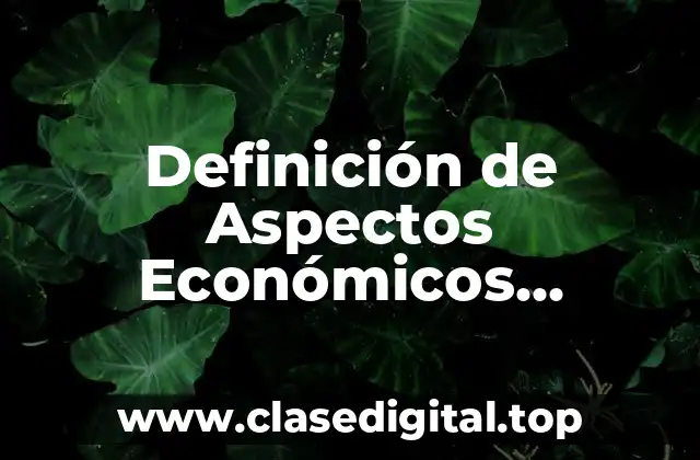 Definición de Aspectos Económicos Financieros de una Empresa